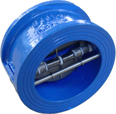 Dual Plate Check Valve